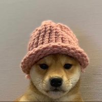 dogwifhat (WIF) token logo